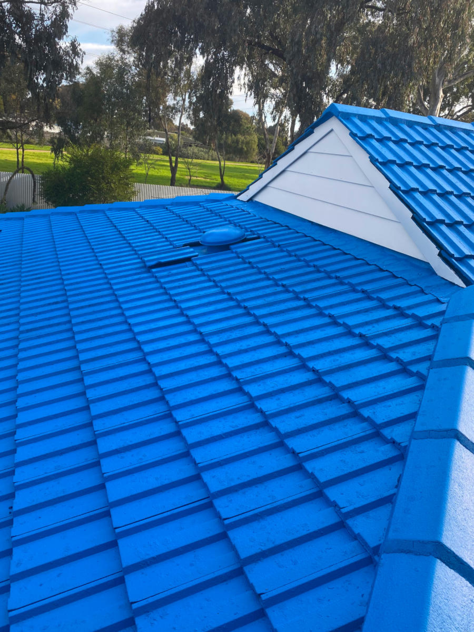 Roof painting