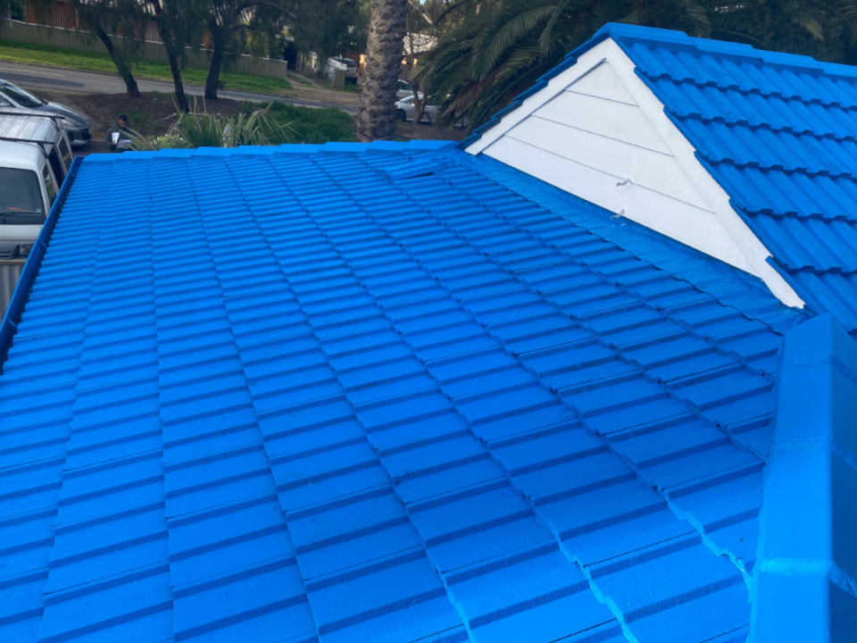 Roof painting