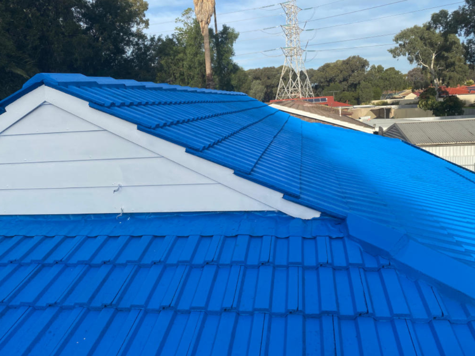 Exterior Painting - Roof