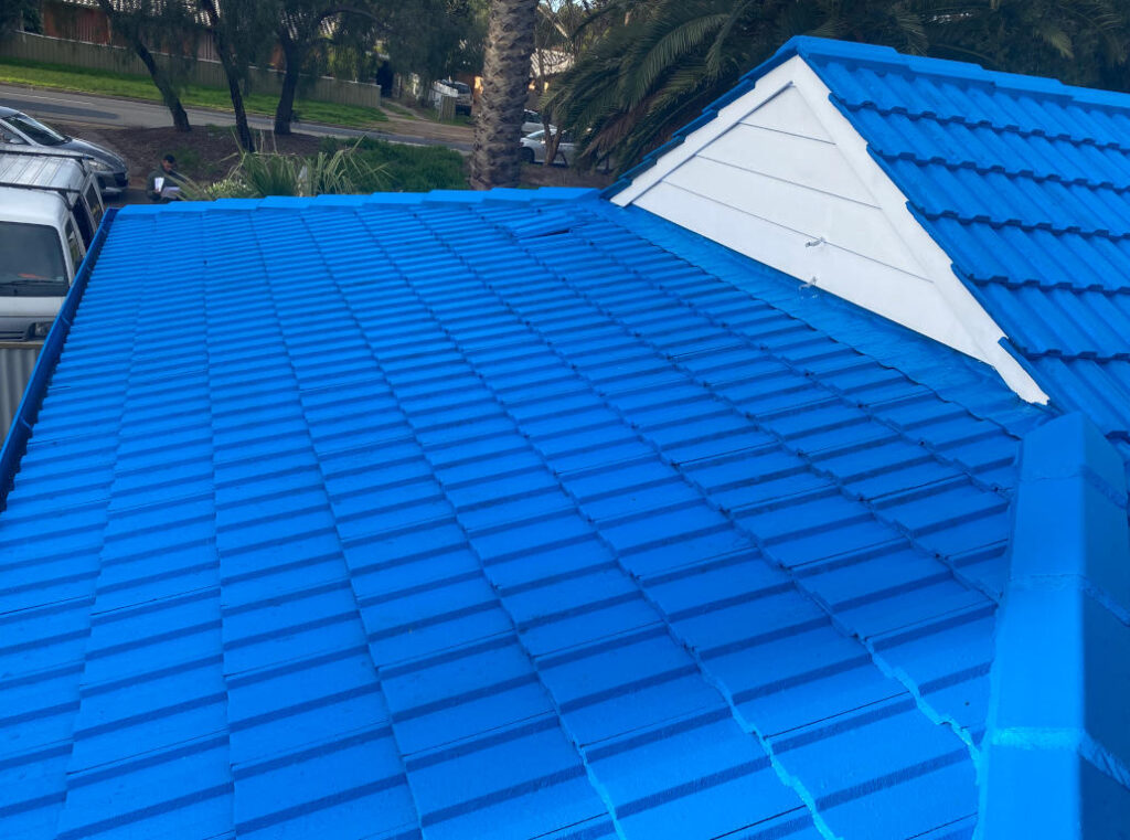 Exterior Painting – Roof Painting