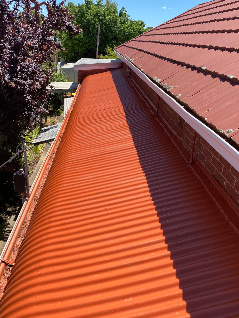 Exterior Painting – Roof Painting